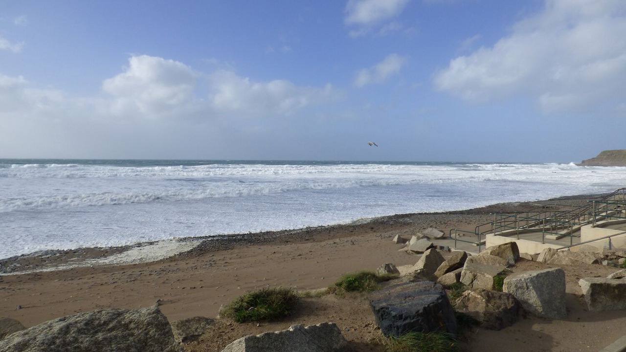 Photo of Others in Brazzacott