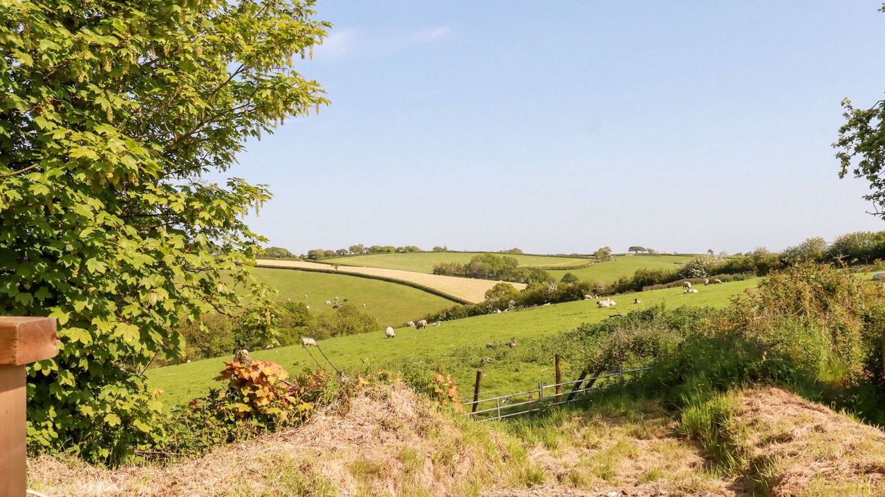 Photo of Outdoor in Brazzacott