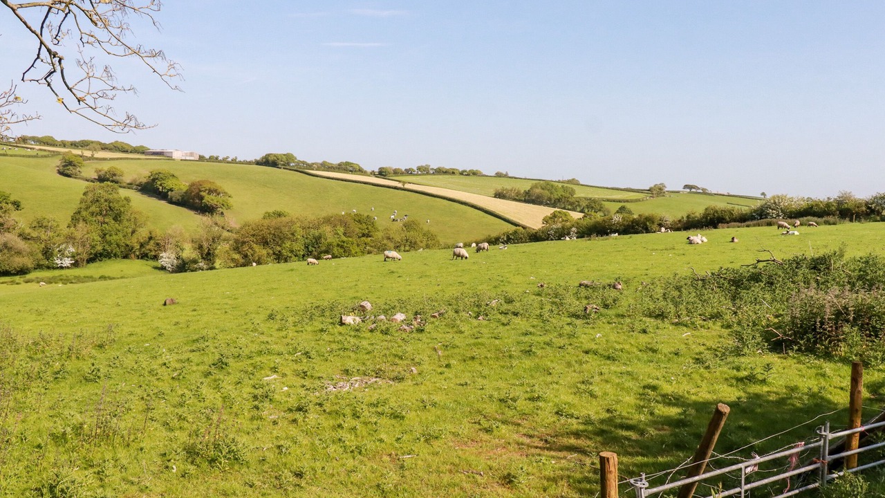 Photo of Others in Brazzacott