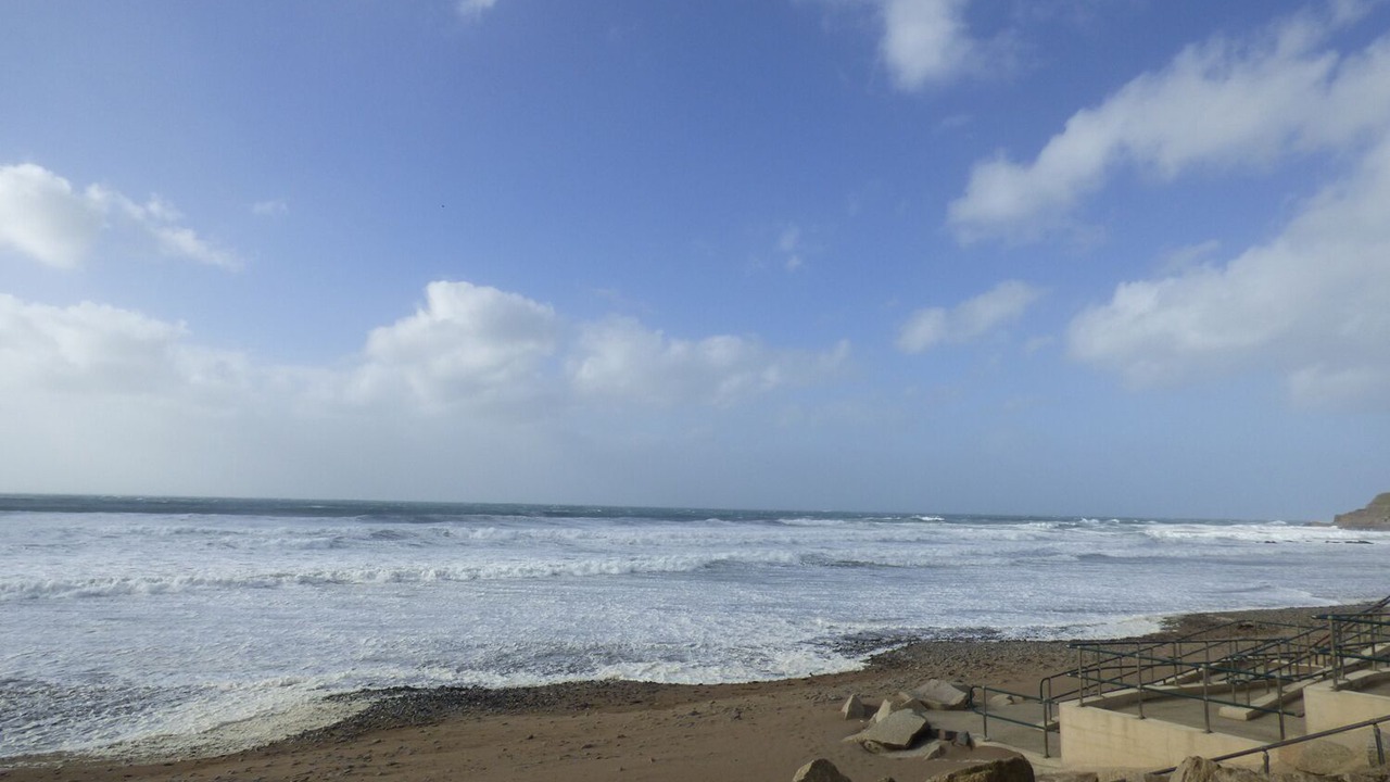 Photo of Others in Brazzacott