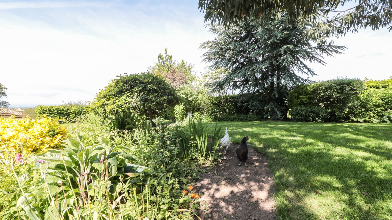 Photo of Outdoor in Thirsk