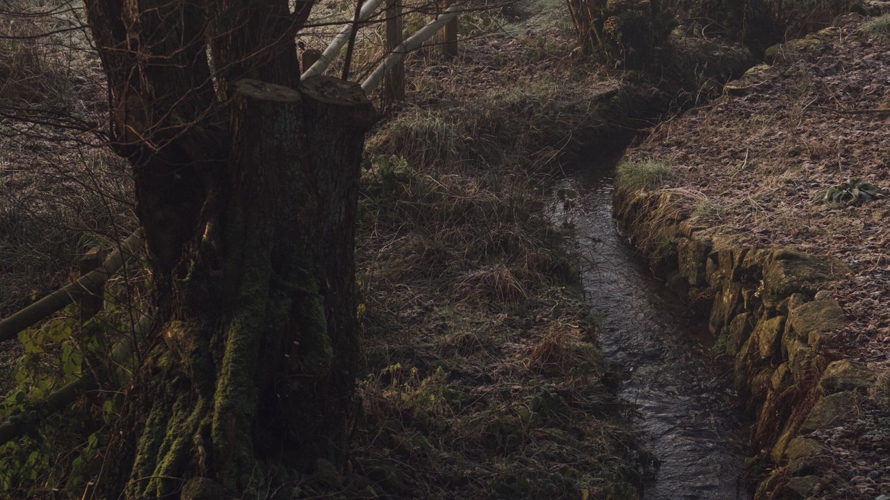 Photo of Others in Gathemo