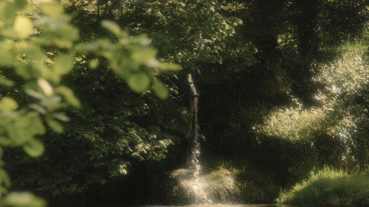 Photo of Others in Gathemo