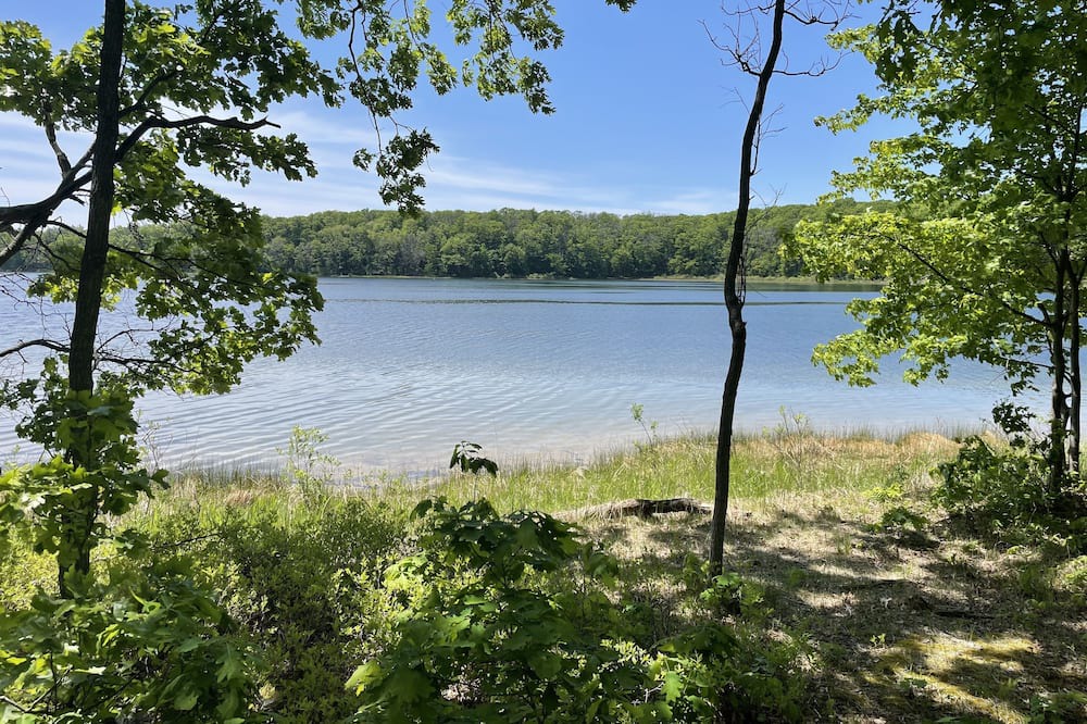Photo of Outdoor in Bitely