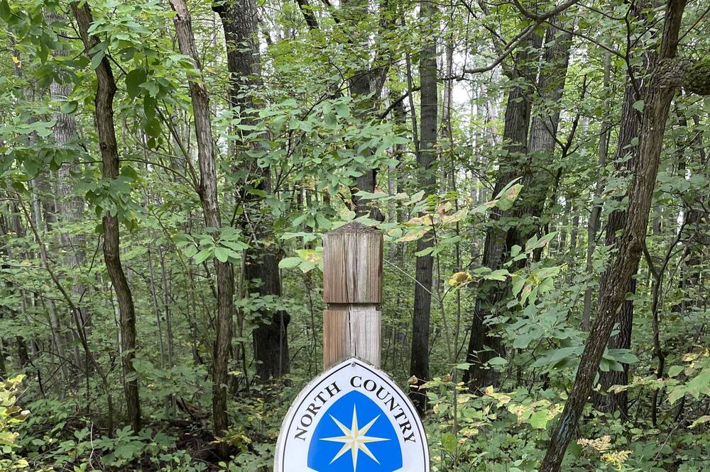 Photo of Outdoor in Bitely