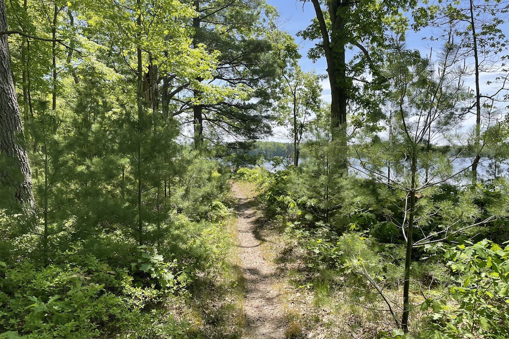Photo of Outdoor in Bitely