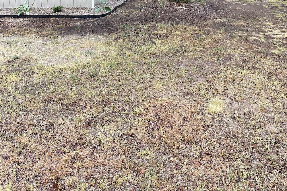 Photo of Outdoor in Bitely