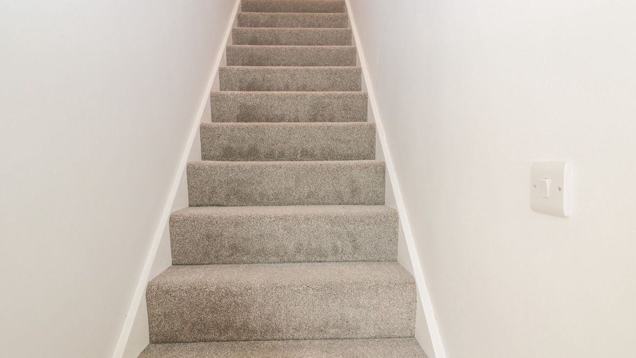 Photo of Others in Lytchett Matravers