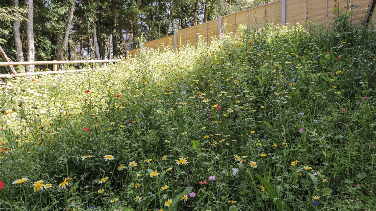 Photo of Others in Lytchett Matravers