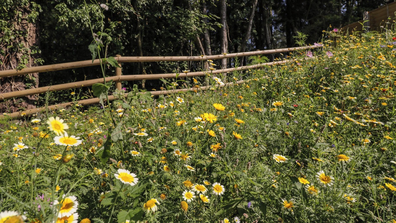 Photo of Others in Lytchett Matravers