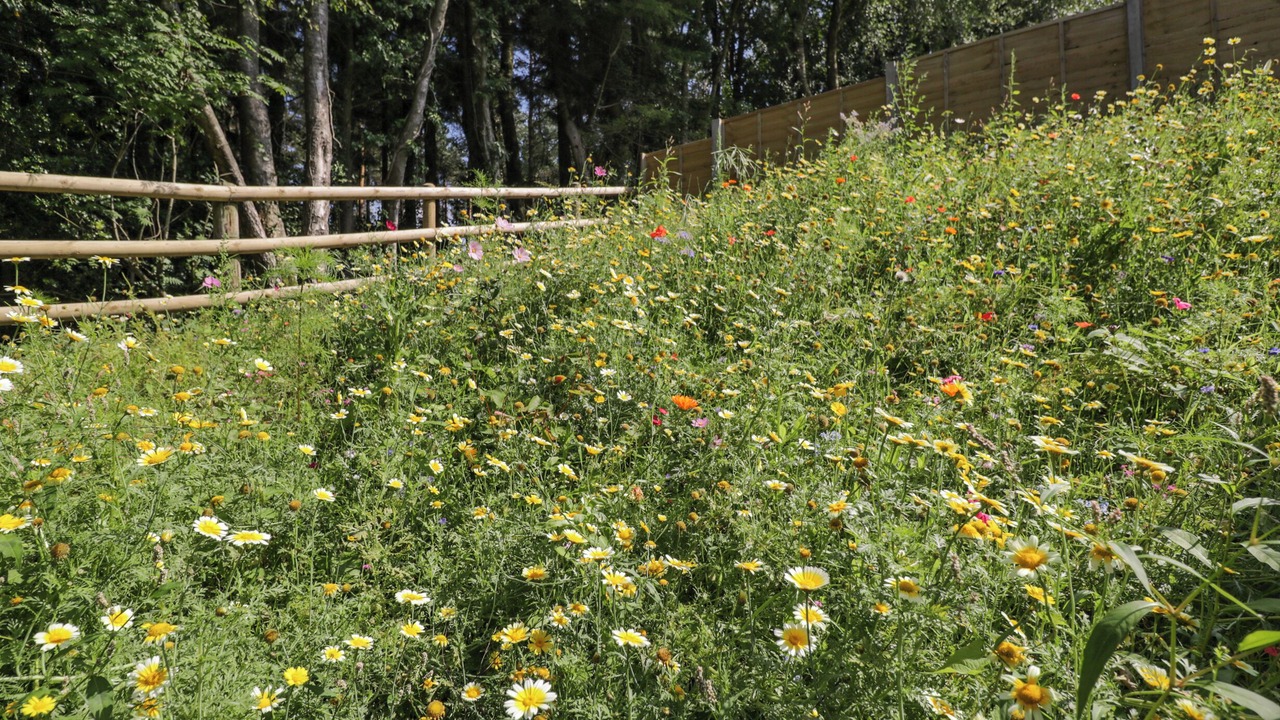 Photo of Others in Lytchett Matravers