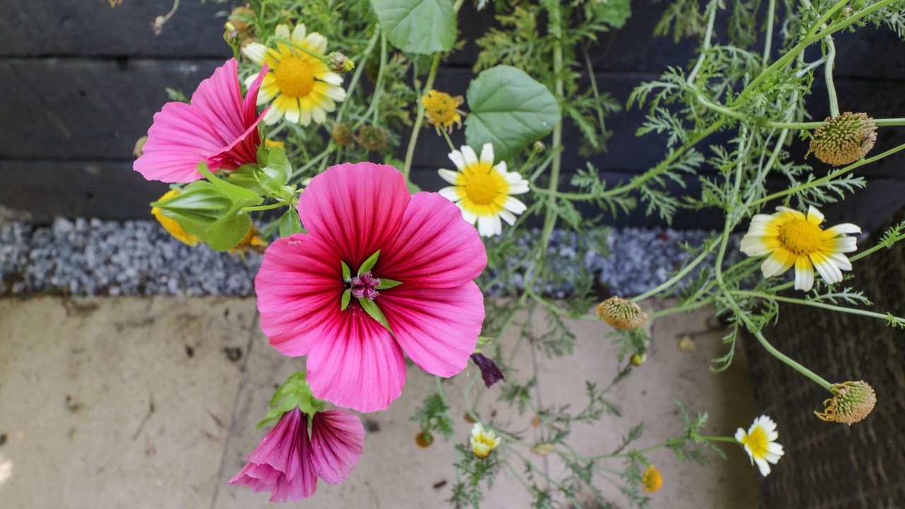 Photo of Others in Lytchett Matravers