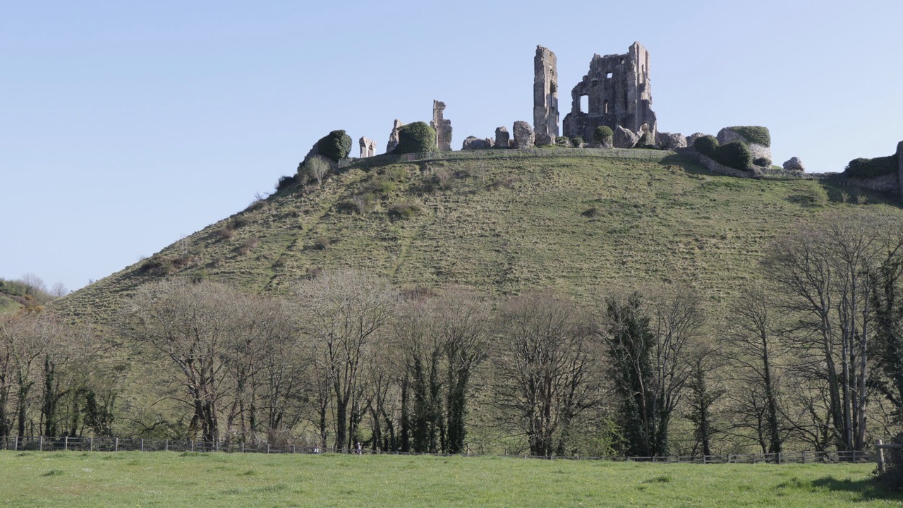 Photo of Others in Lytchett Matravers