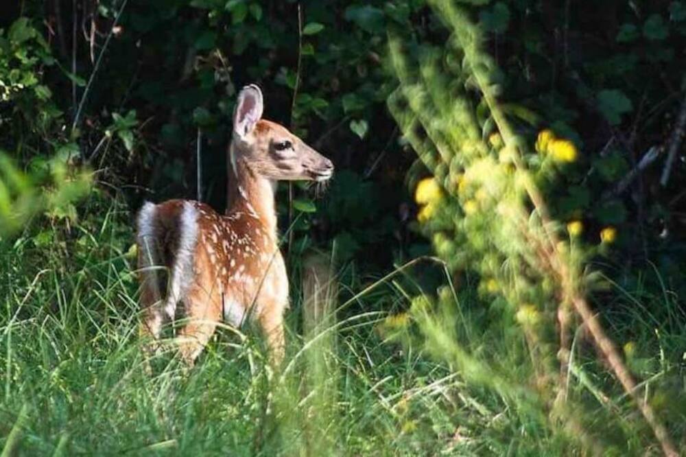 Photo of Others in Milton