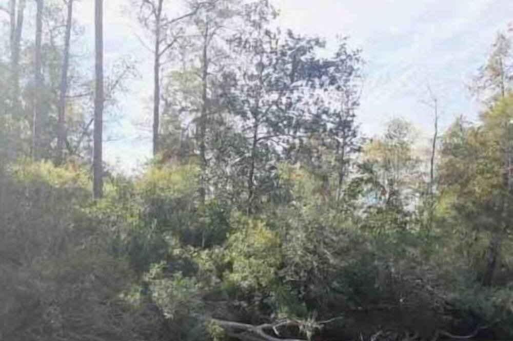 Photo of Outdoor in Milton