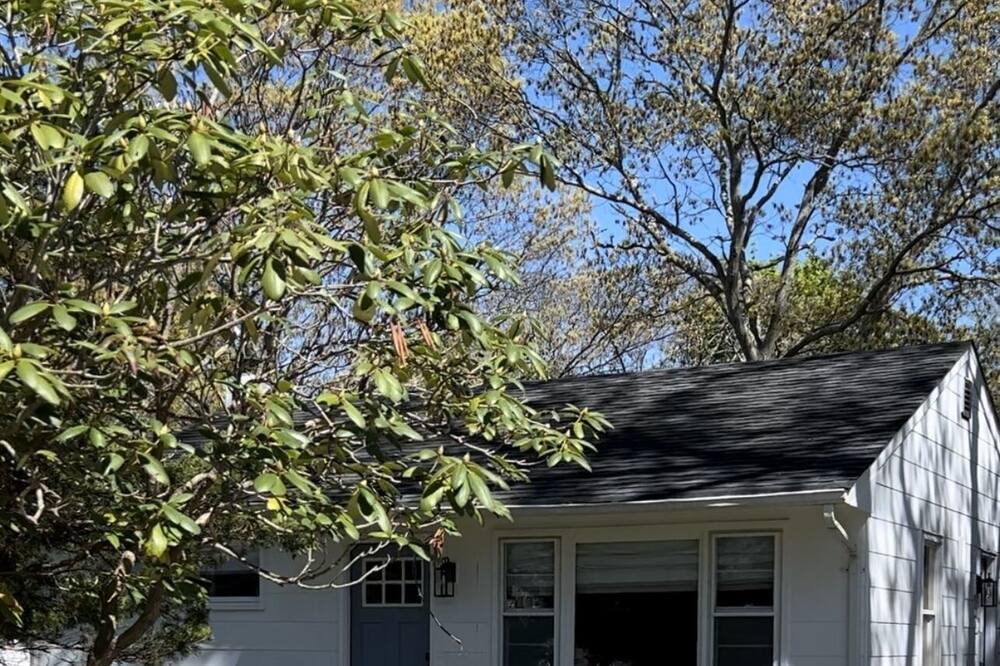 Photo of Outdoor in Hampton Bays