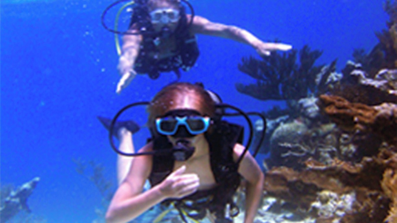 Photo of Others in Punta Rucia