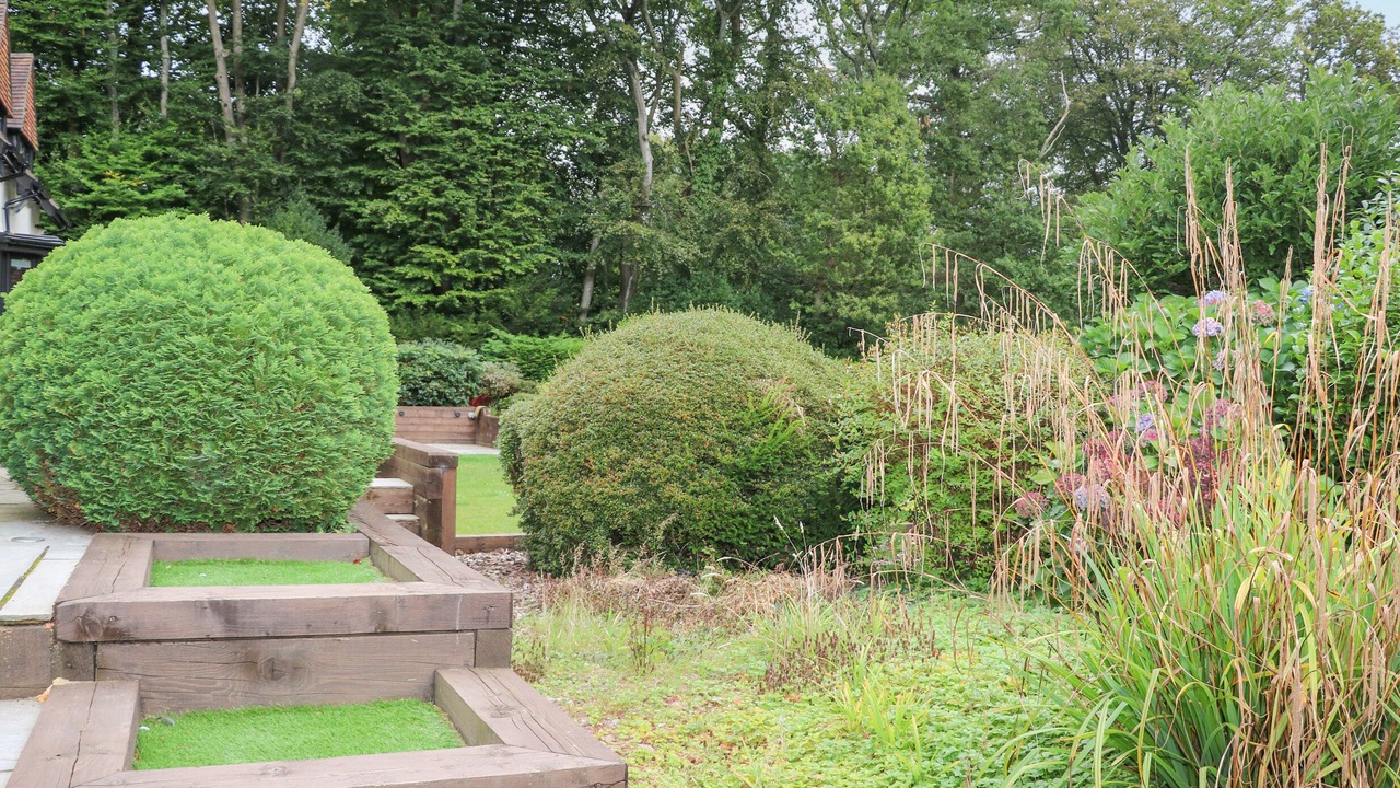 Photo of Others in New Forest District