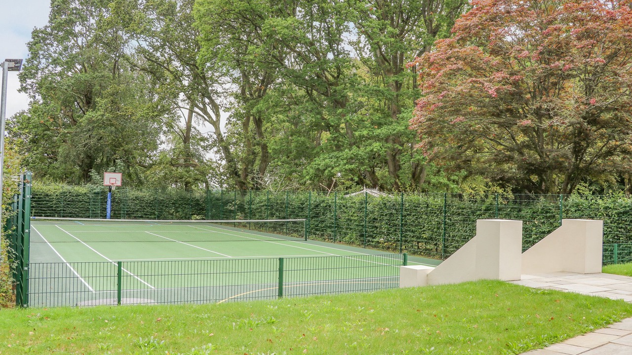 Photo of Others in New Forest District