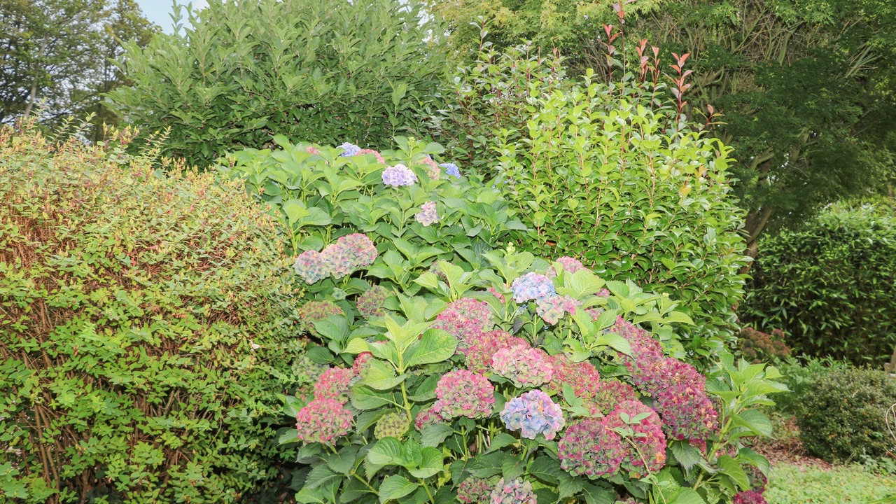 Photo of Others in New Forest District