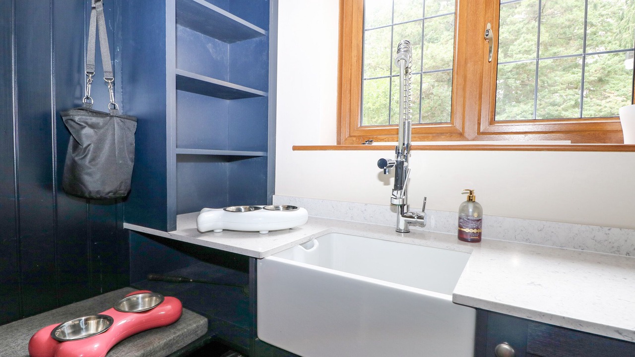 Photo of Others in New Forest District