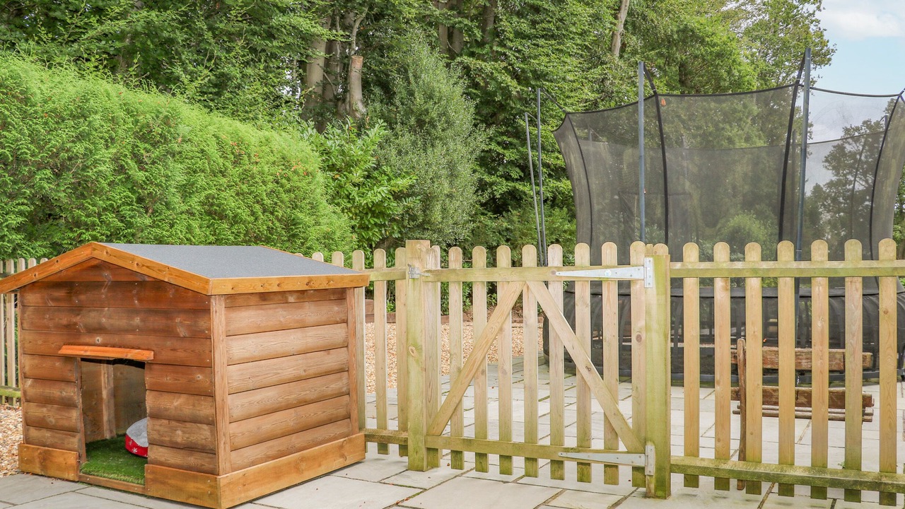 Photo of Others in New Forest District