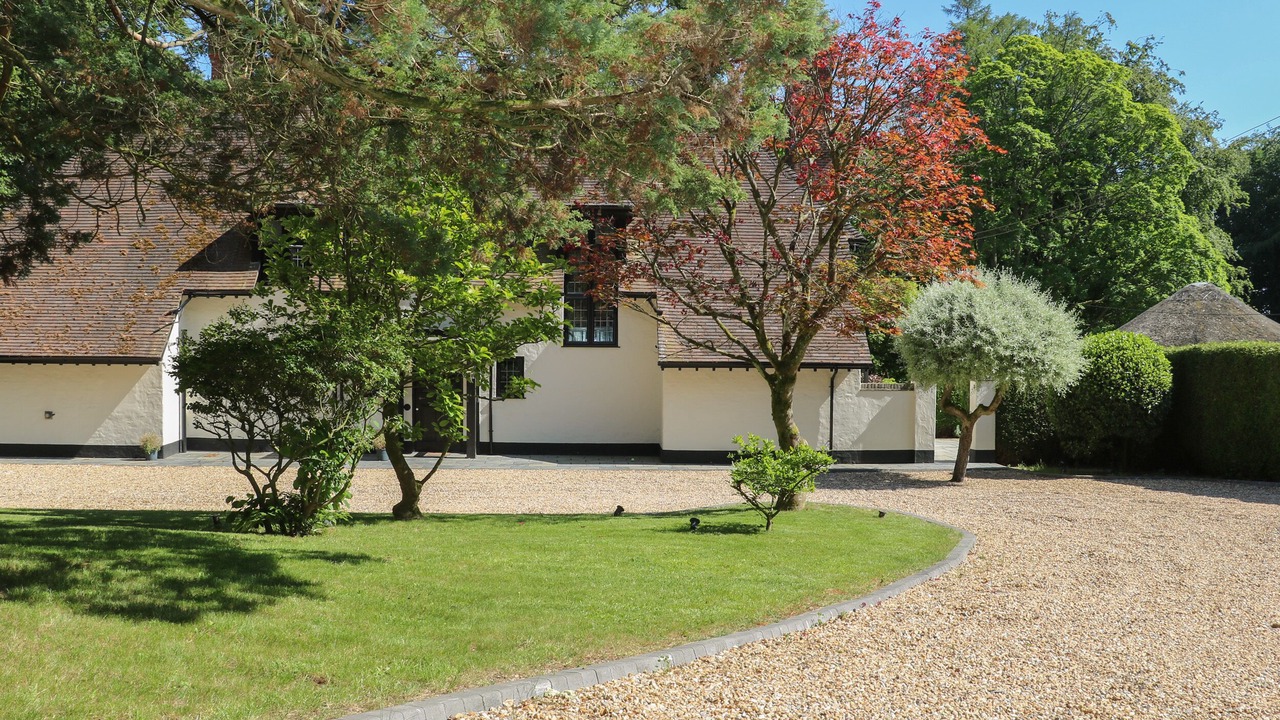 Photo of Outdoor in New Forest District