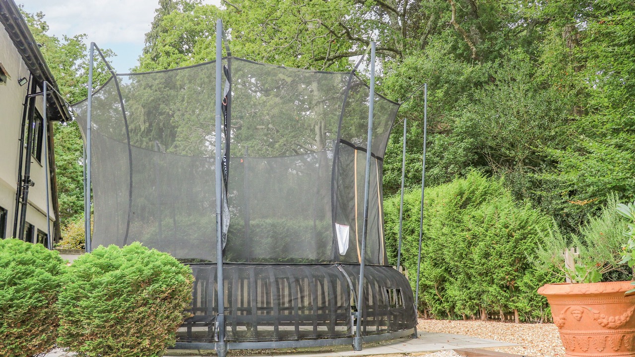 Photo of Others in New Forest District