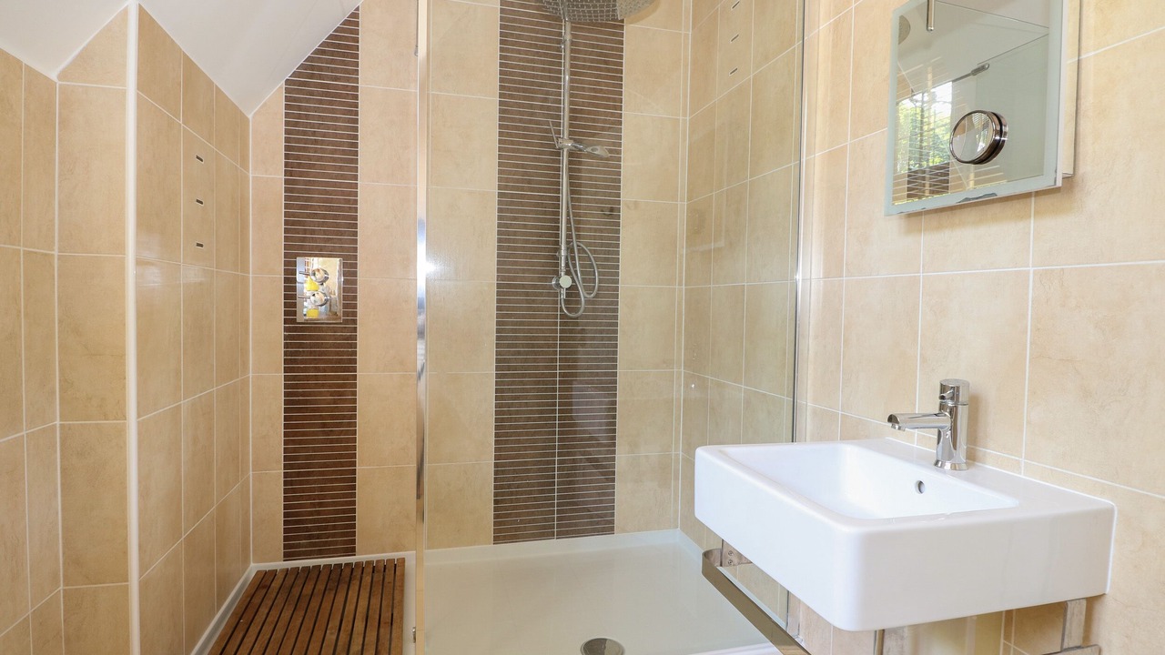 Photo of Others in New Forest District