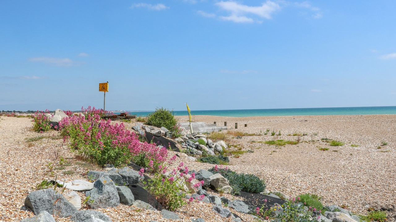 Photo of Others in Pagham