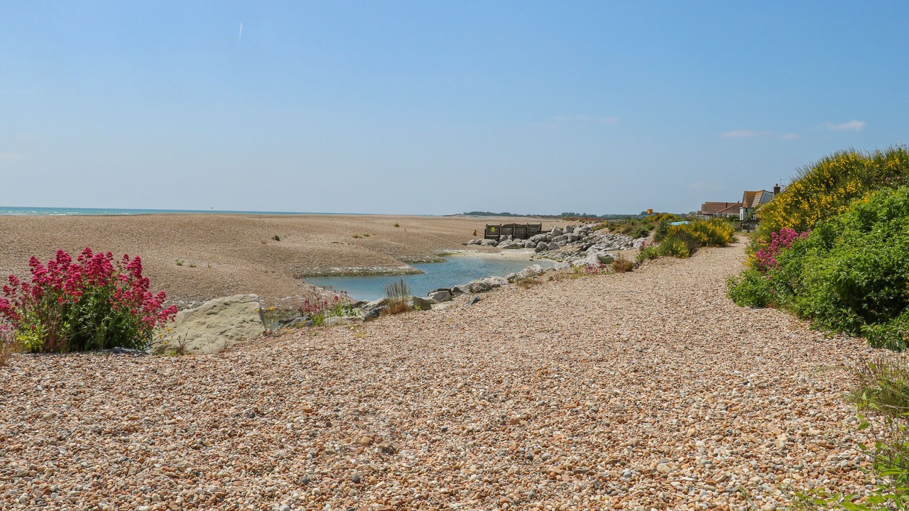 Photo of Others in Pagham