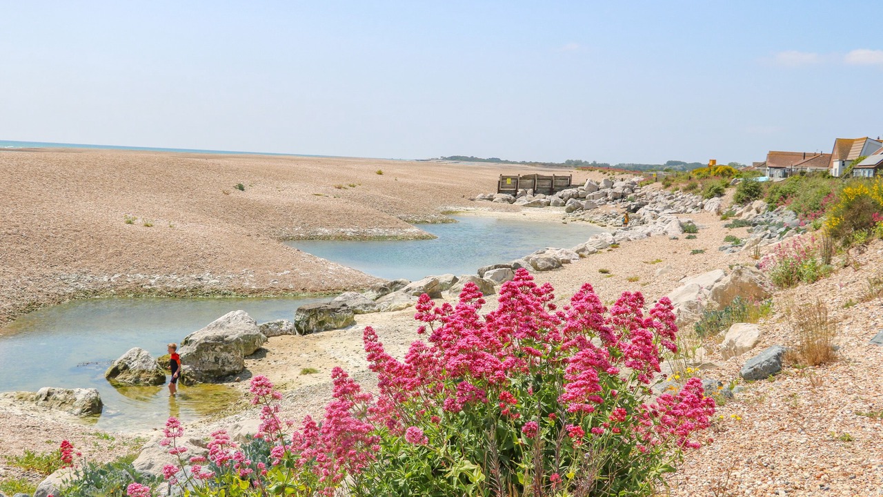 Photo of Outdoor in Pagham