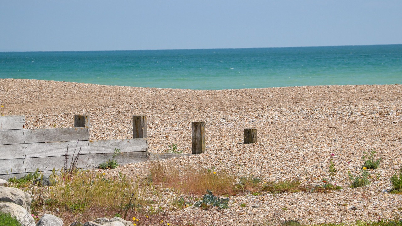 Photo of Others in Pagham