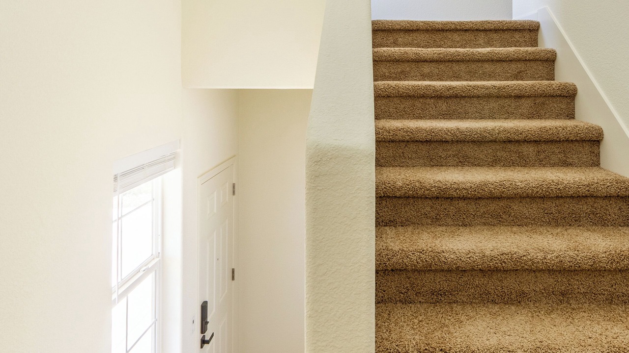 Photo of Others in Linda