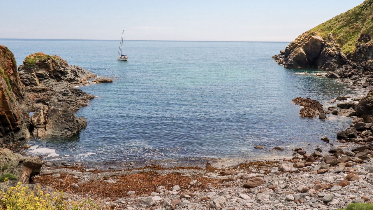 Photo of Others in Cadgwith
