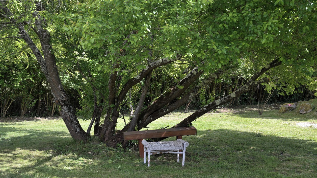 Photo of Outdoor in Salies-du-Salat