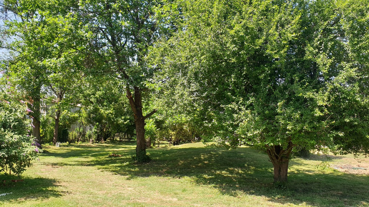 Photo of Outdoor in Salies-du-Salat