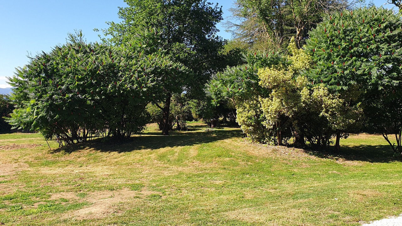 Photo of Outdoor in Salies-du-Salat
