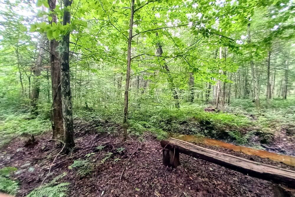 Photo of Outdoor in Trois-Rivieres