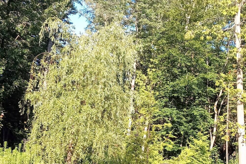 Photo of Outdoor in Trois-Rivieres