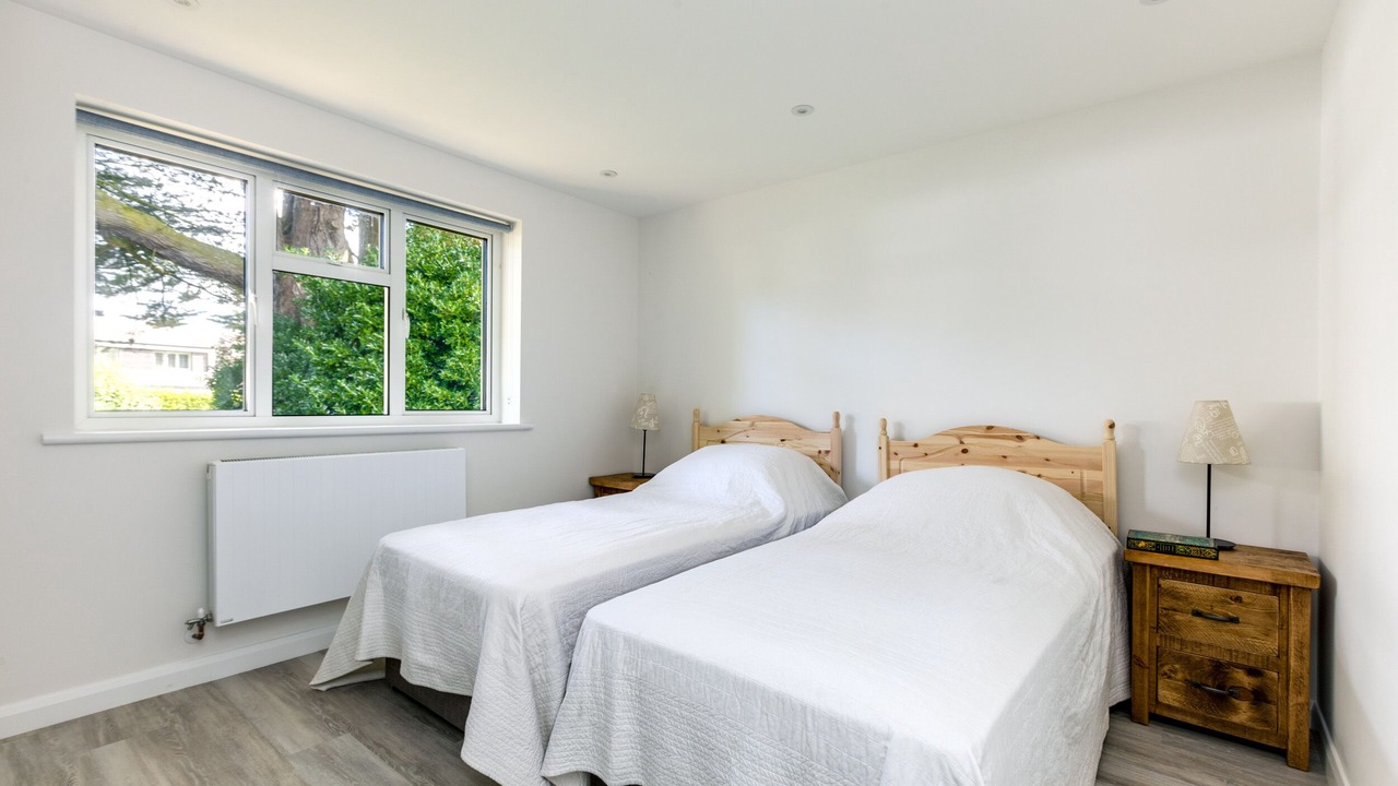 Photo of Others in Rock