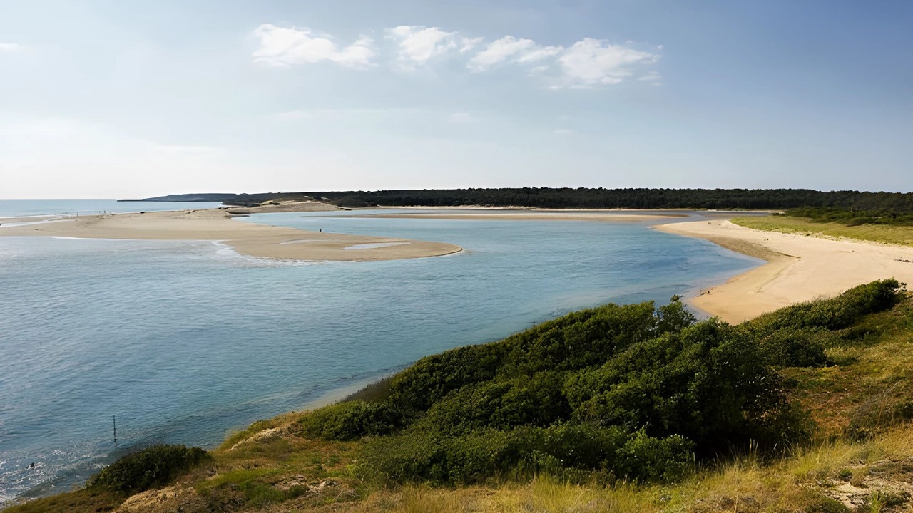 Photo of Others in LʼIle-dʼOlonne