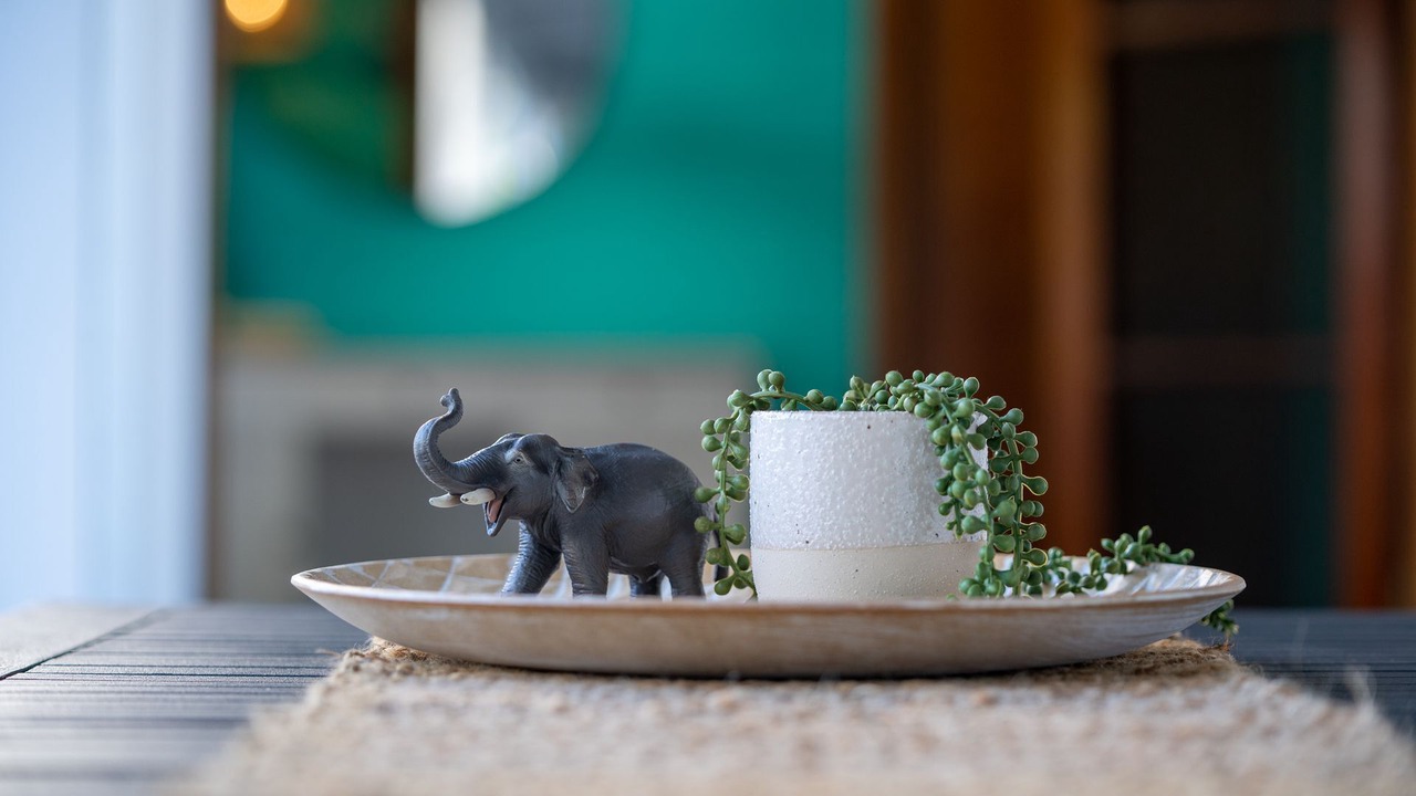 Photo of Others in Nowra