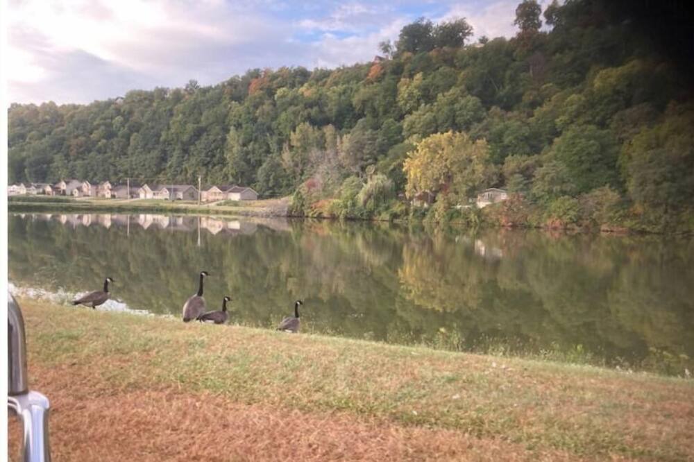 Photo of Others in Guttenberg