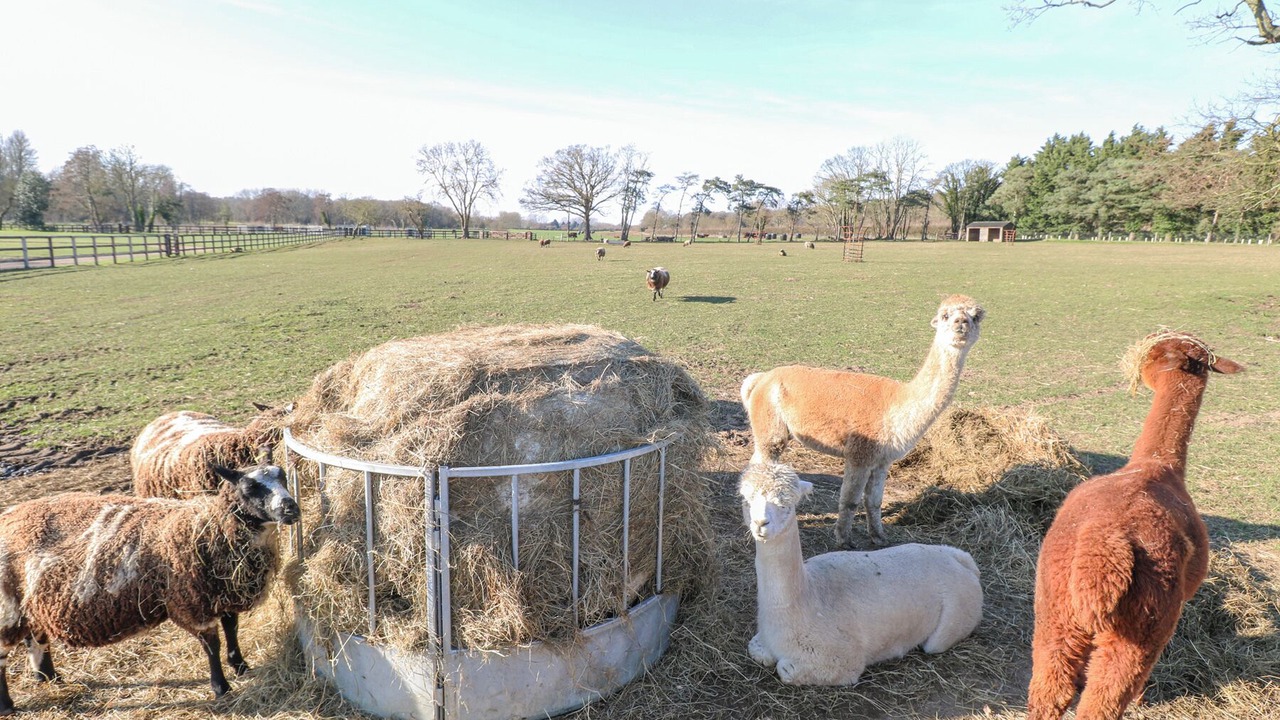 Photo of Others in Norwich