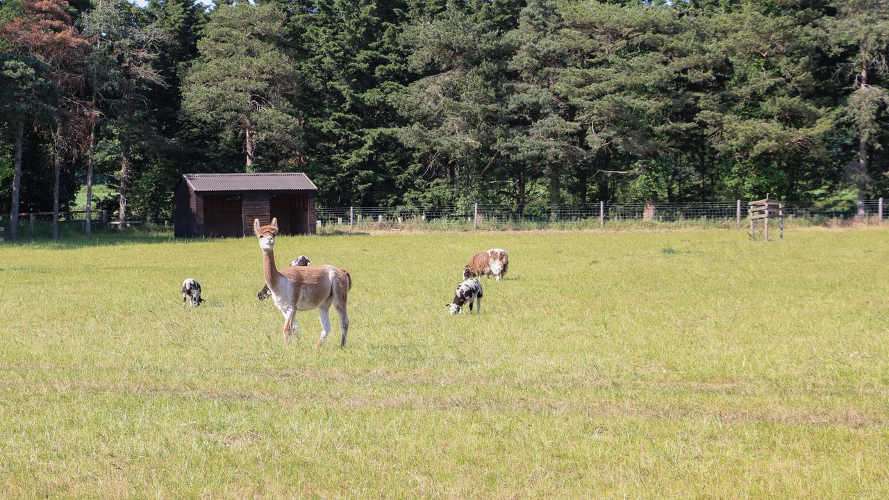 Photo of Others in Norwich
