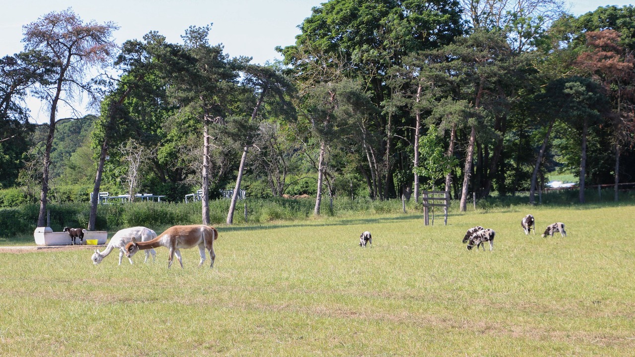 Photo of Others in Norwich