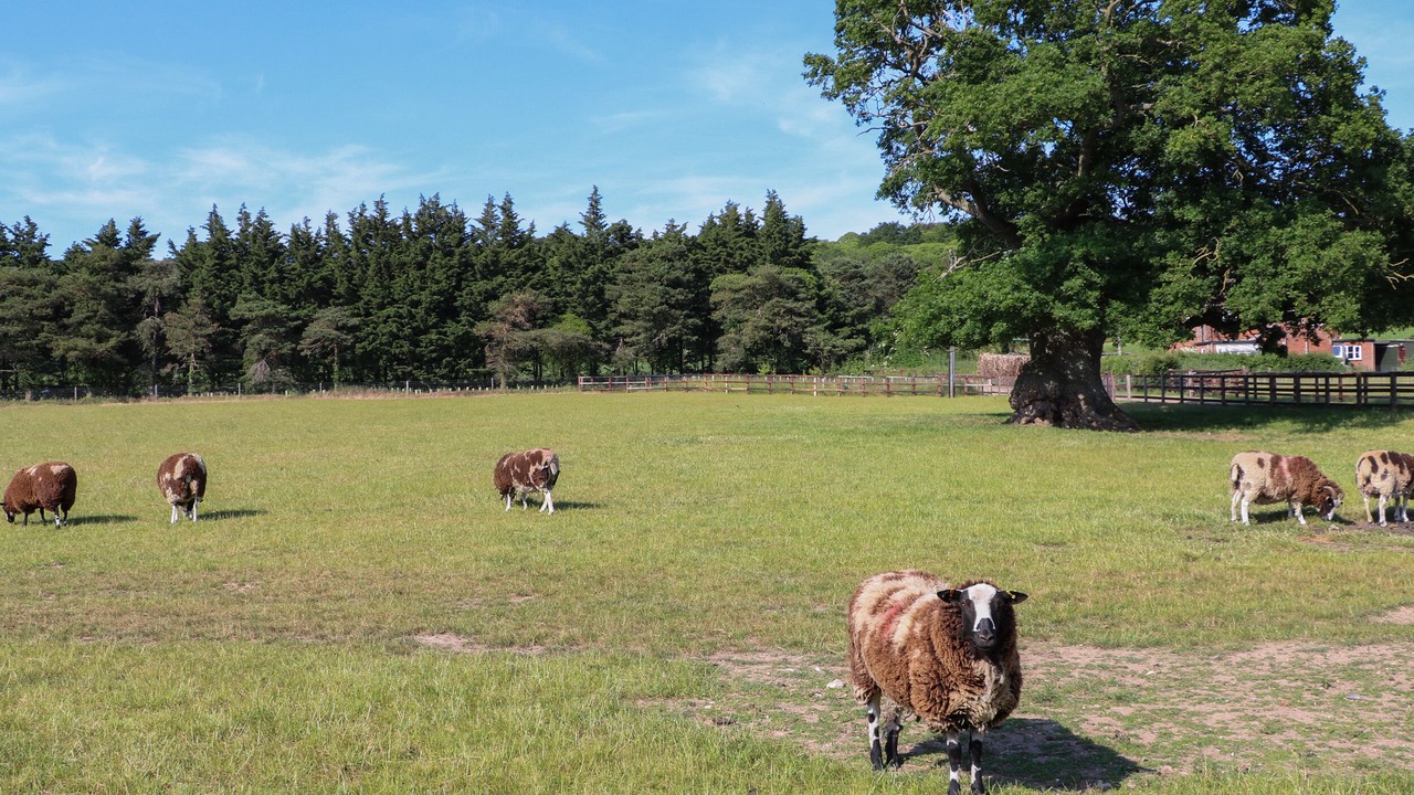 Photo of Others in Norwich