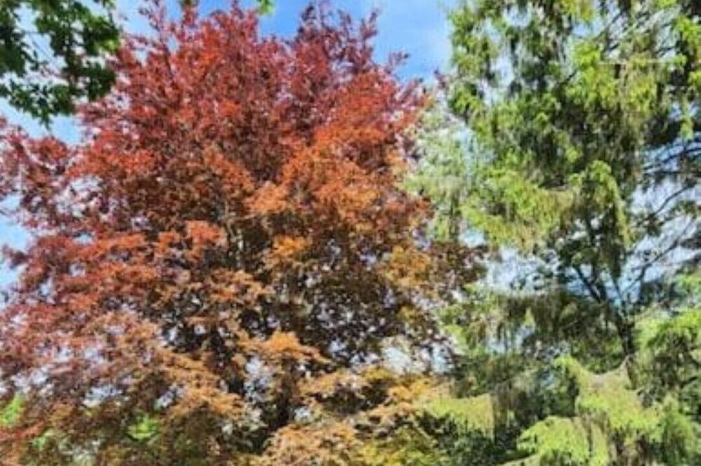 Photo of Outdoor in Crowborough