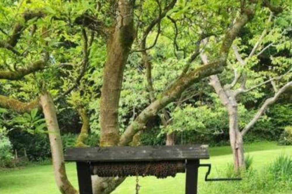 Photo of Outdoor in Crowborough